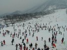 西嶺雪山、鶴鳴音樂(lè)小鎮(zhèn)、安仁古鎮(zhèn)二日游