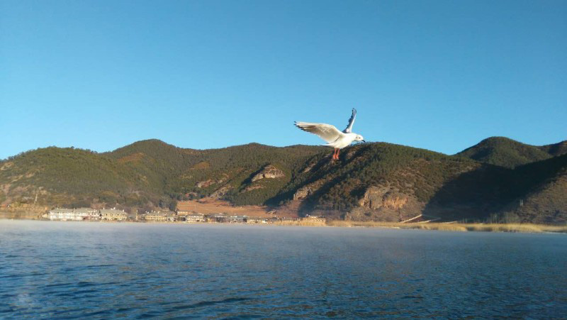 西昌瀘山邛海、知青博物館、摘草莓雙汽三日游
