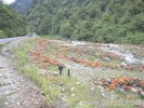 海螺溝、燕子溝、木格措、跑馬山五日游